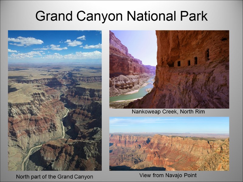 Grand Canyon National Park View from Navajo Point   Nankoweap Creek, North Rim
